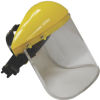 face shield